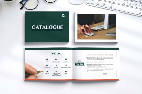 Catalogue in Offset