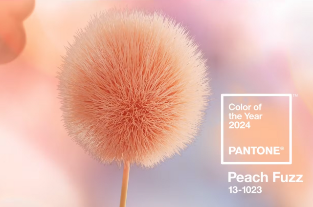 Màu hồng đào Peach Fuzz là màu sắc của năm 2024