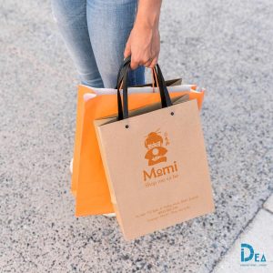 In túi giấy, in túi giấy Kraft Buôn Ma Thuột (BMT) Daklak