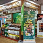 Thi công gian hàng BMT Daklak