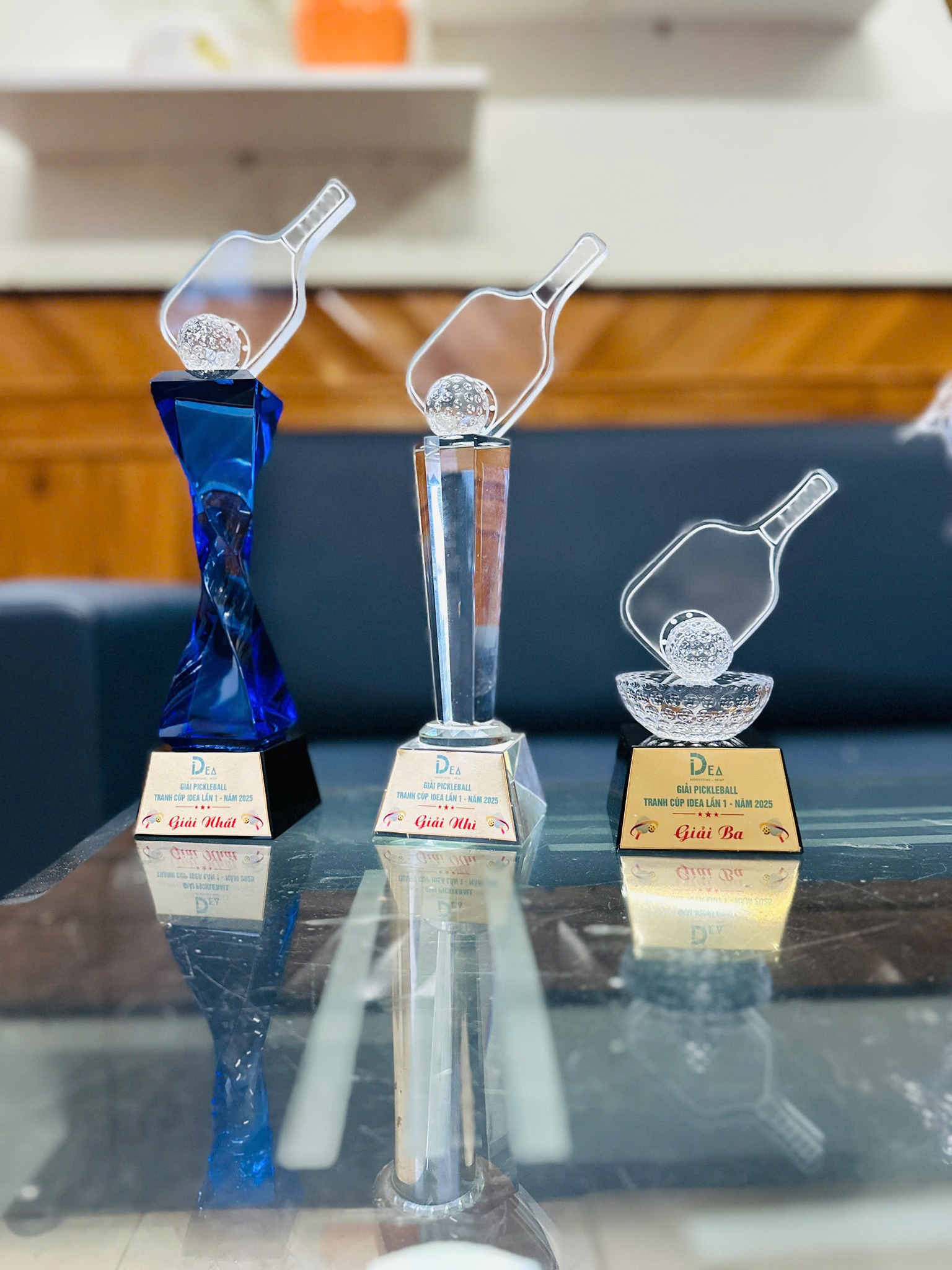cúp Pickleball BMT Daklak