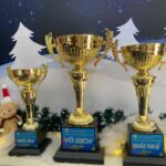 Cúp Pickleball BMT Daklak - Thiết kế đẹp, giá tốt