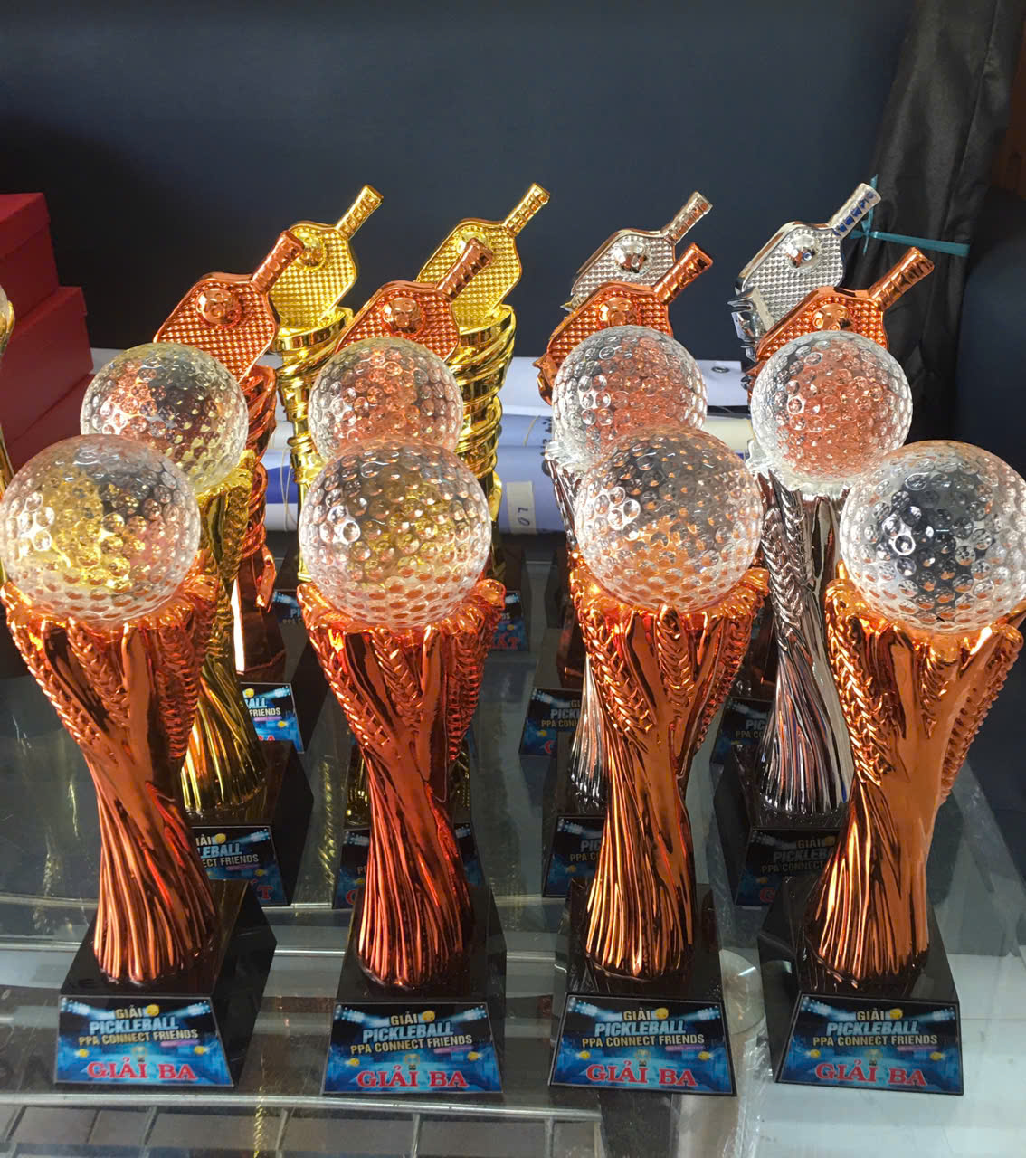 Cúp Pickleball bmt daklak