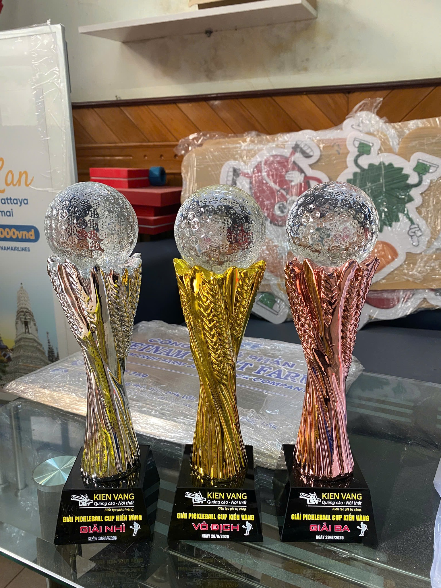 cúp Pickleball BMT Daklak