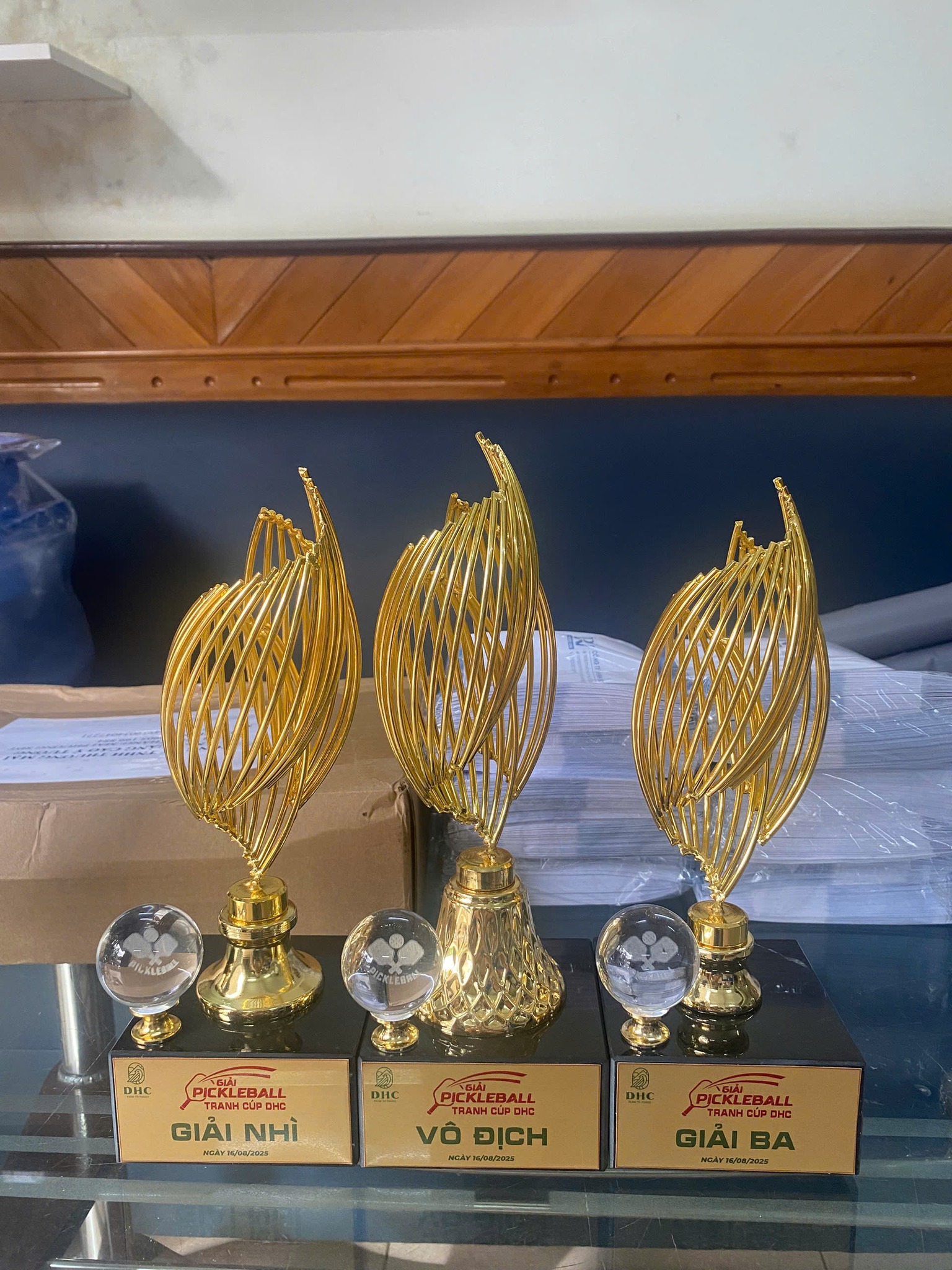 cúp Pickleball BMT Daklak