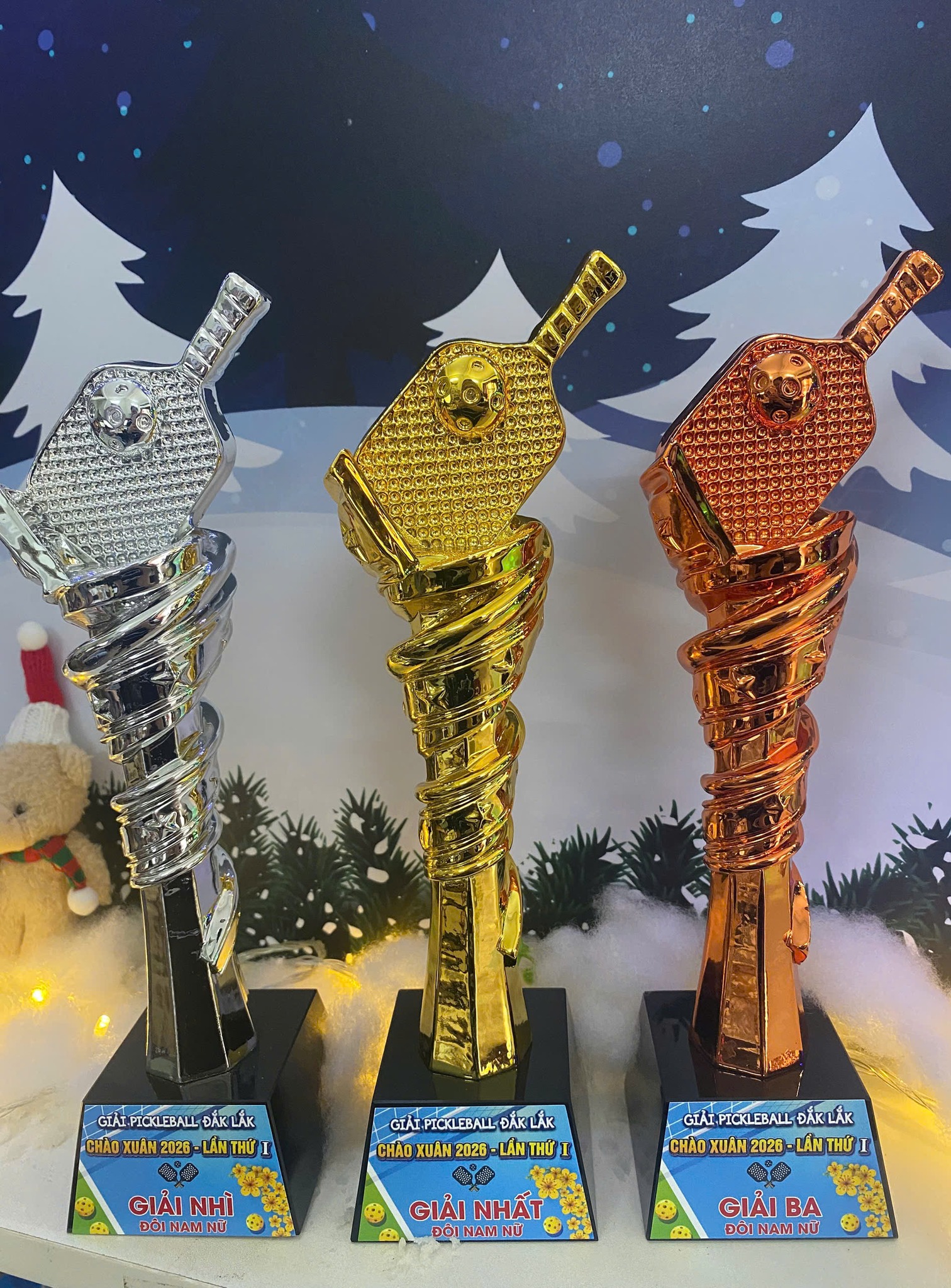 cúp Pickleball bmt daklak