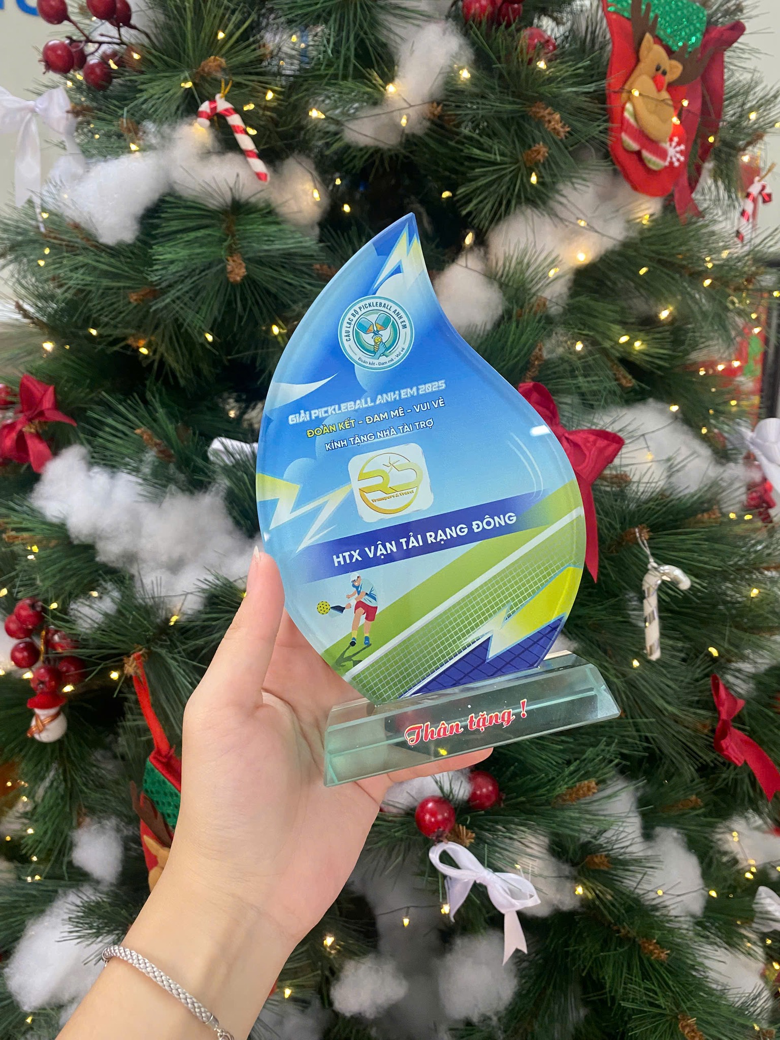 cúp Pickleball BMT Daklak