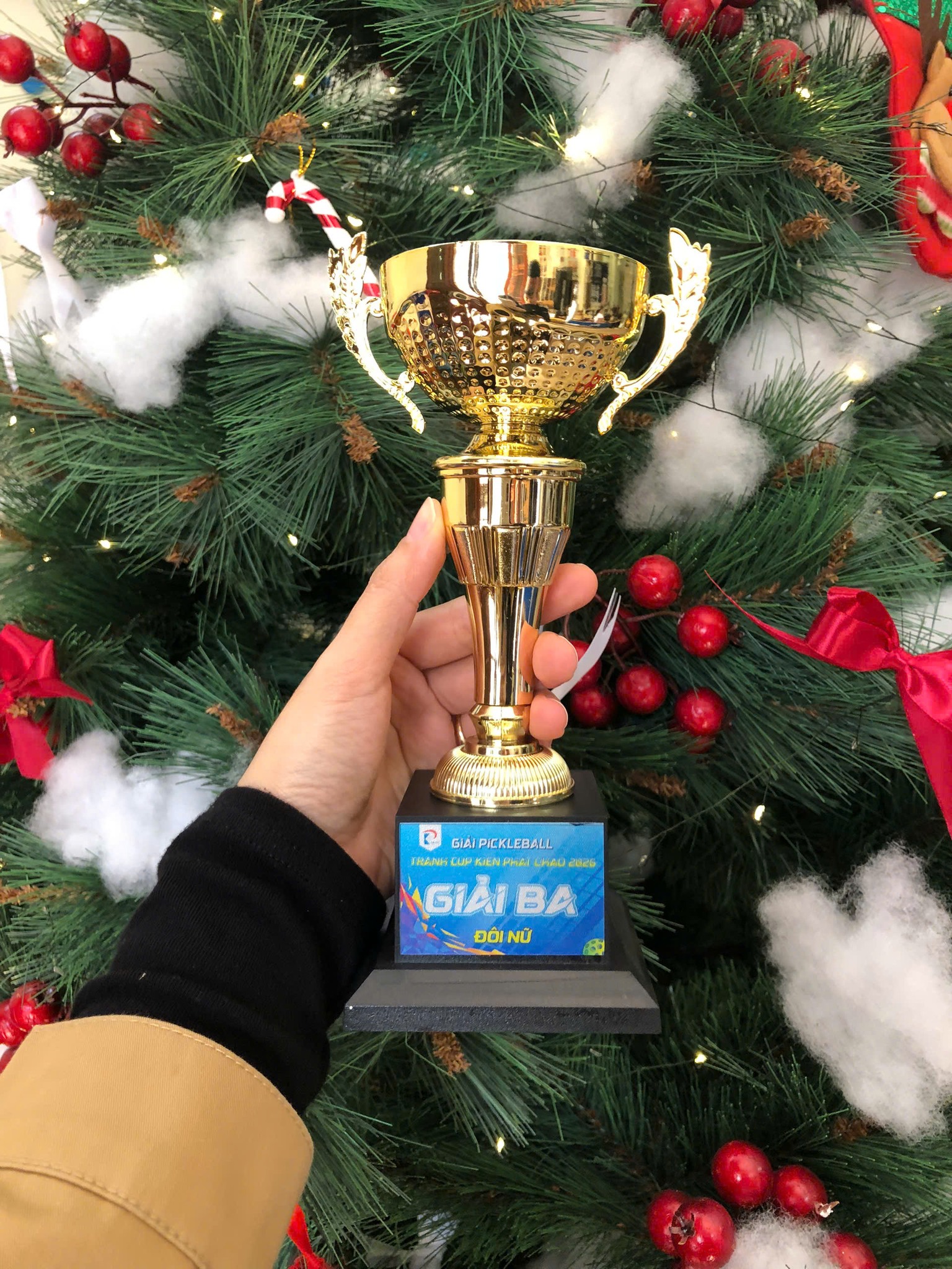 cúp Pickleball BMT Daklak 