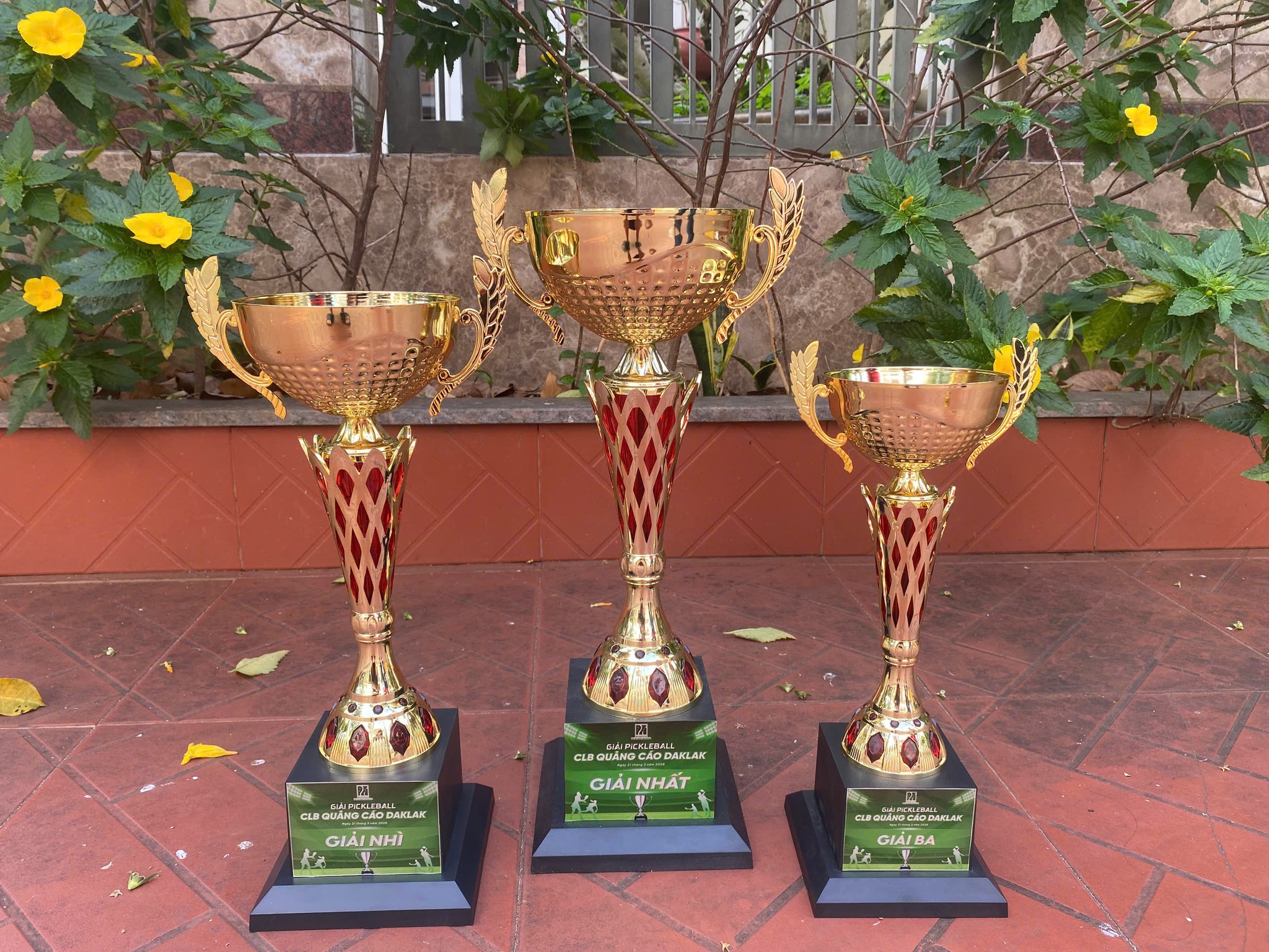 cúp Pickleball BMT Daklak