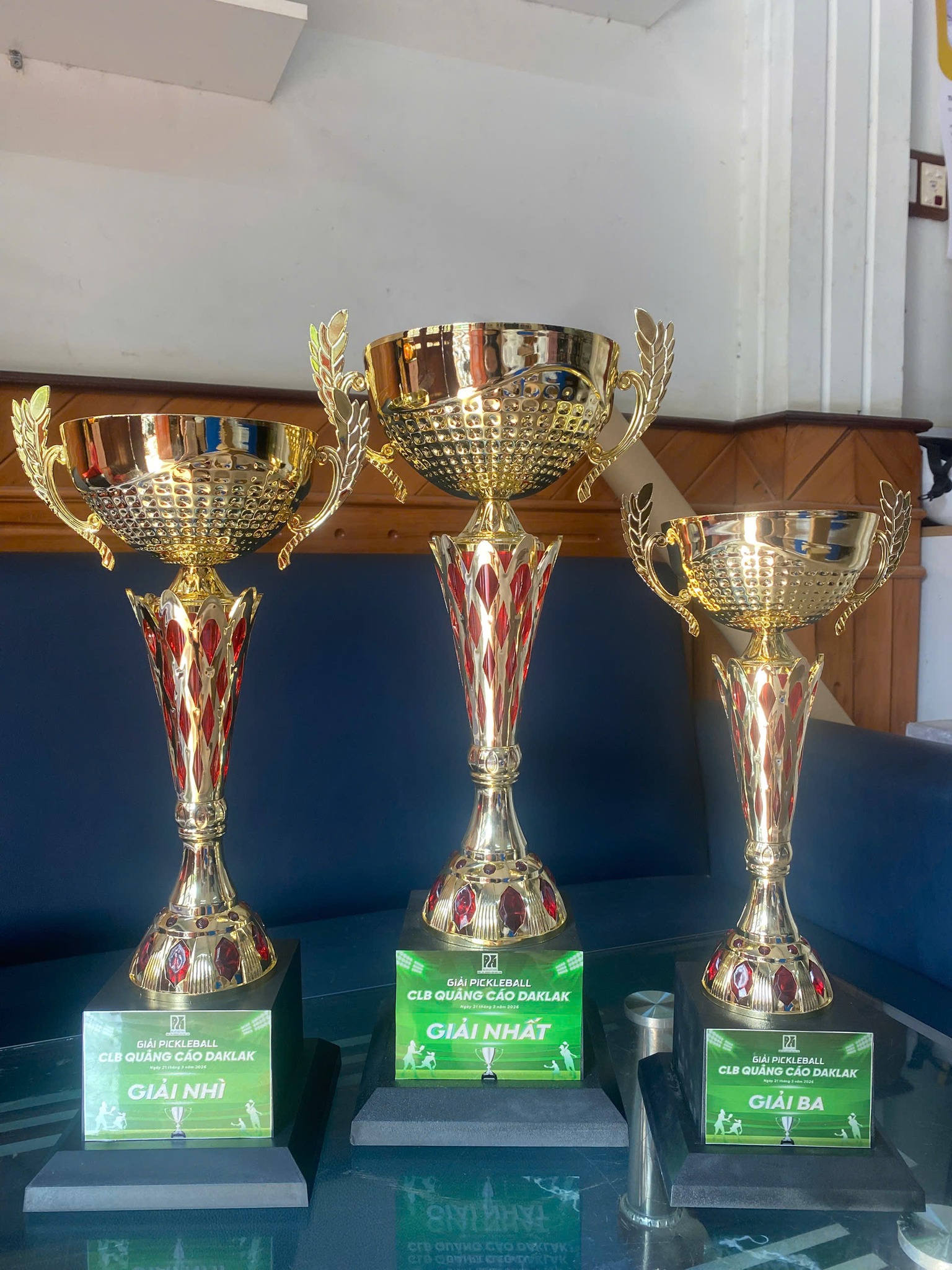 cúp Pickleball BMT Daklak