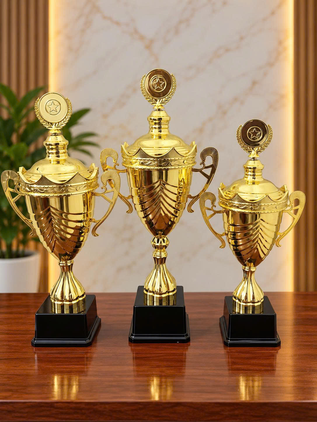 Ảnh sản phẩm