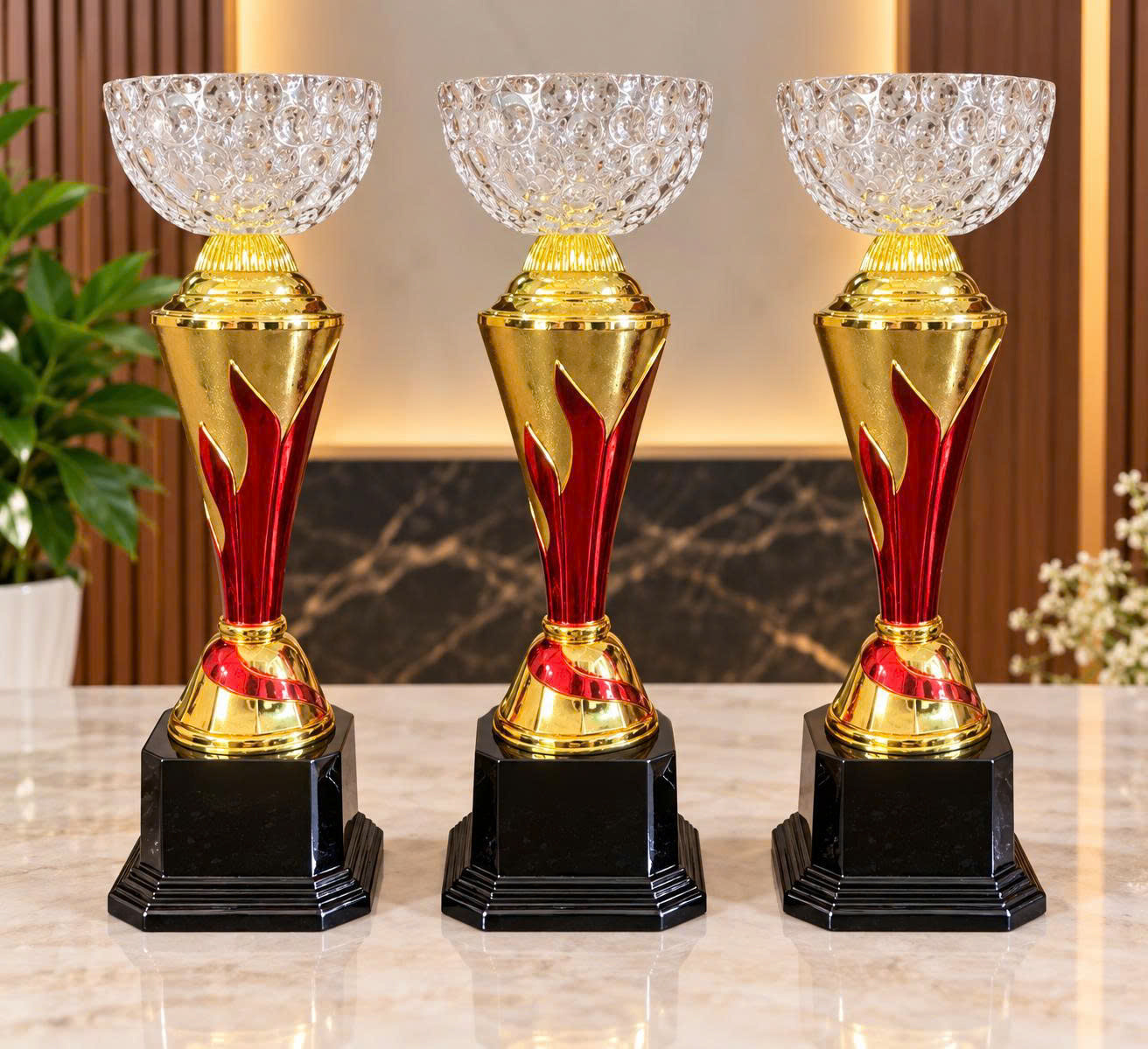 Ảnh sản phẩm
