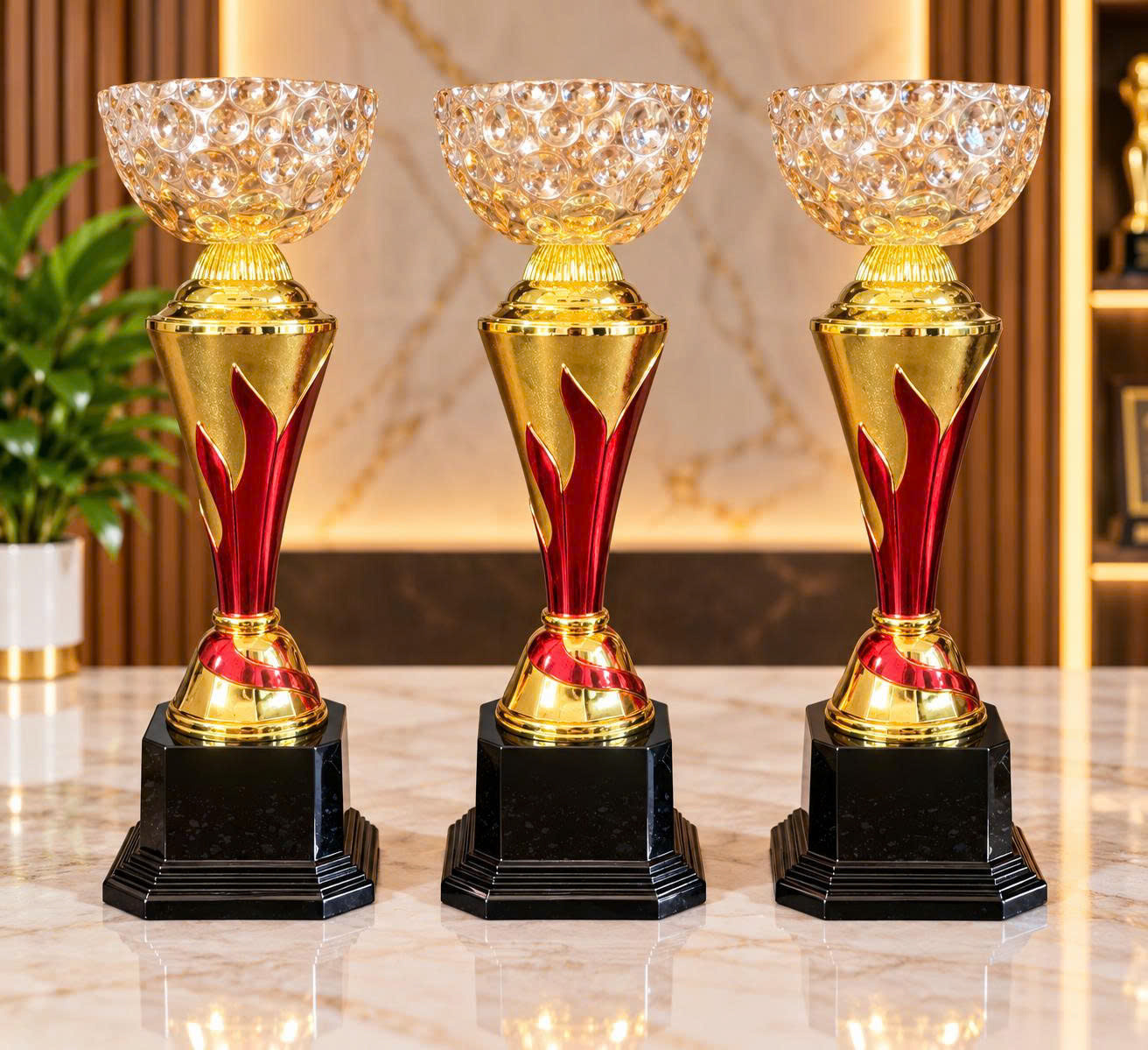 Ảnh sản phẩm